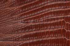 Lizard belts - Cognac